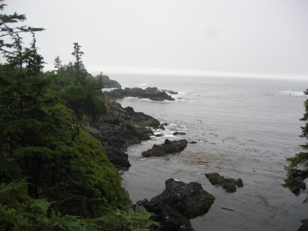 Img_6705.jpg