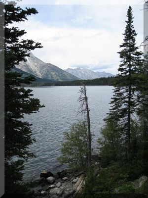 IMG_0291.JPG