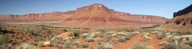 UT 128

