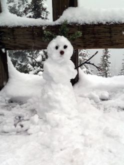 Schnee
