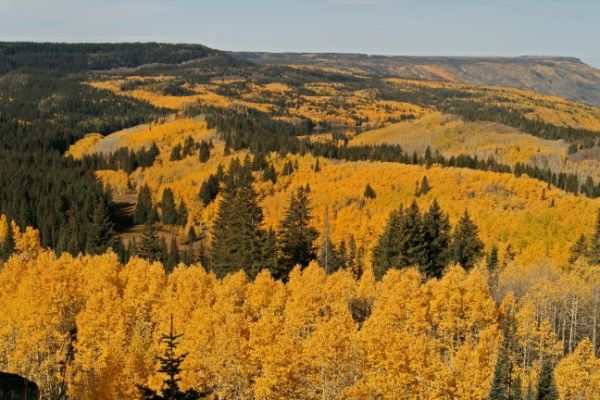 Grand Mesa
