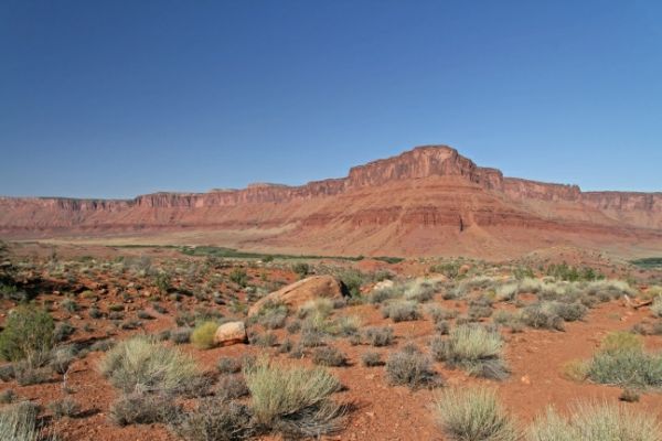 Amphitheater Loop
