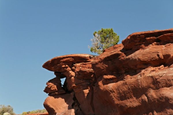 Amphitheatre Loop
