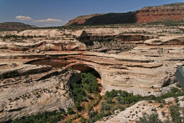 Natural Bridges
