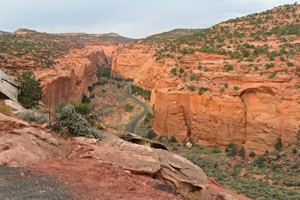 Burr Trail Long Canyon
