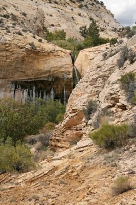 Upper Calf Creek Falls
