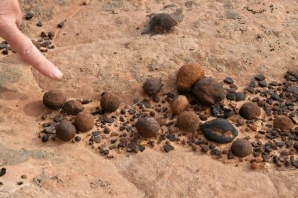 Moqui Hill
