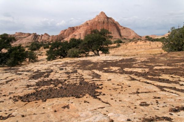 Moqui Hill
