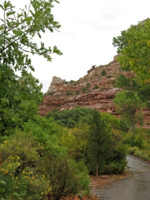 Lower Calf Creek Falls Trail
