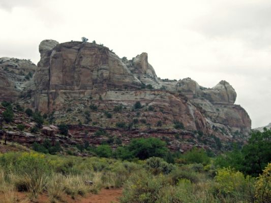 Lower Calf Creek Falls Trail

