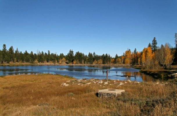 Duck Lake
