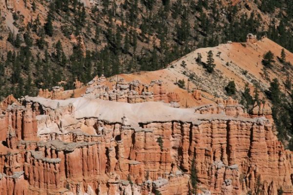Bryce Canyon Alligator
