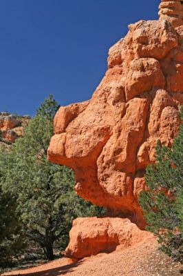 Red Canyon

