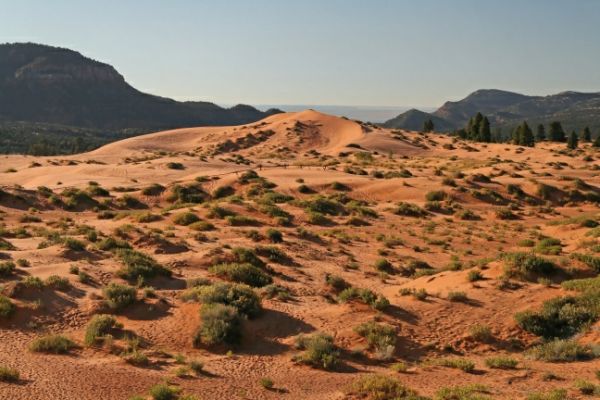 Coral Pink Sand Dunes

