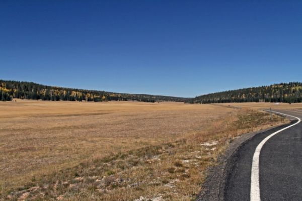Kaibab Plateau
