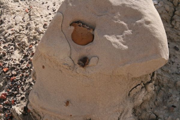 Bisti West Einschluß
