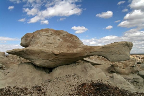 Bisti West Flying Turtle
