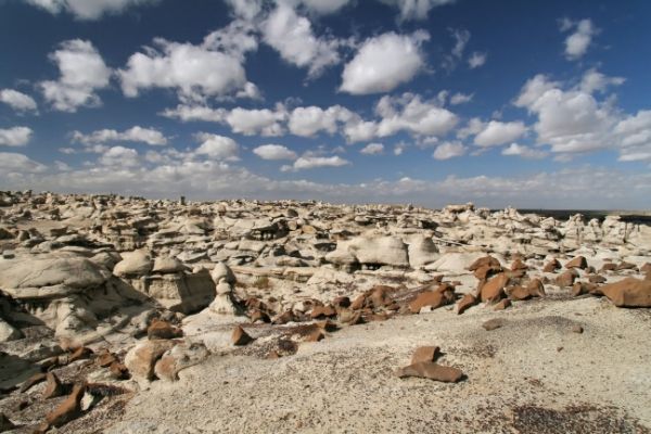 Bisti West

