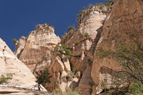 Tent Rocks
