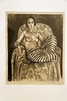 Denver Matisse
