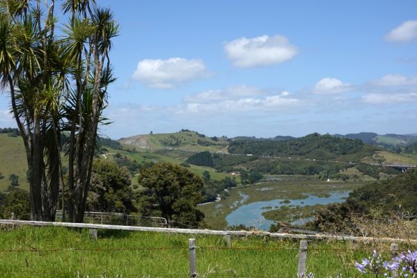 DSC00957 Hibiscus Coast Hwy bei Puhoi Blick auf Waiwera River und Stau_k
