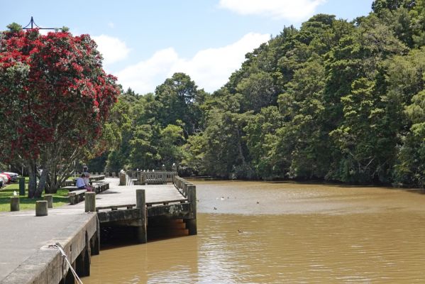 DSC00975 Warkworth Mahurangi River_k
