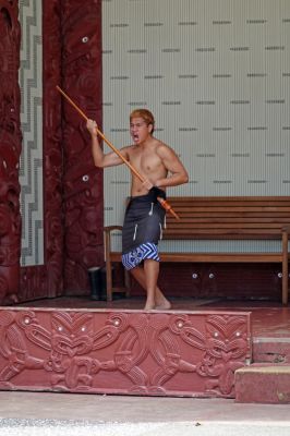 DSC01107 Waitangi Maor iPerformance_k
