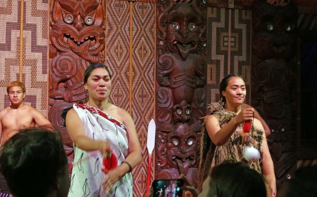 DSC01134 Waitangi Maori Performance_k
