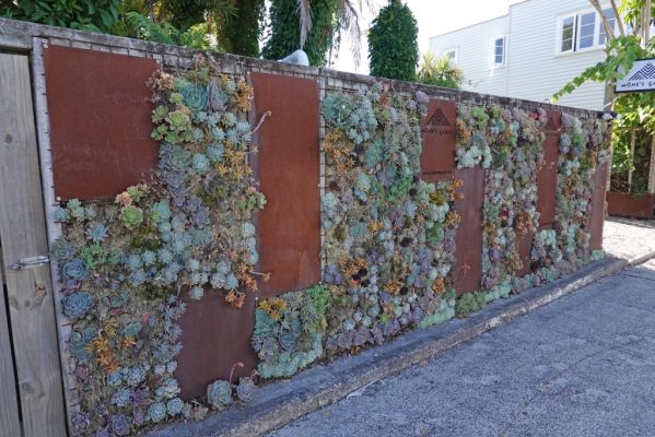 DSC01214 Russell York Street Hones Garden begrÃ¼nte Mauer_k
