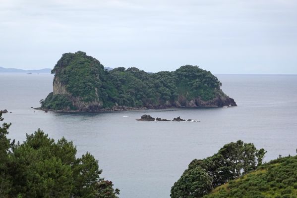 DSC01525 Hahei Motueka Island_k
