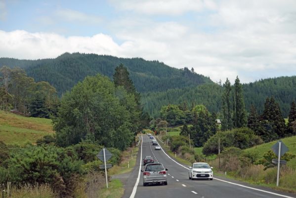 DSC01577 Hwy 25 Tairua Whitianga Rd_k
