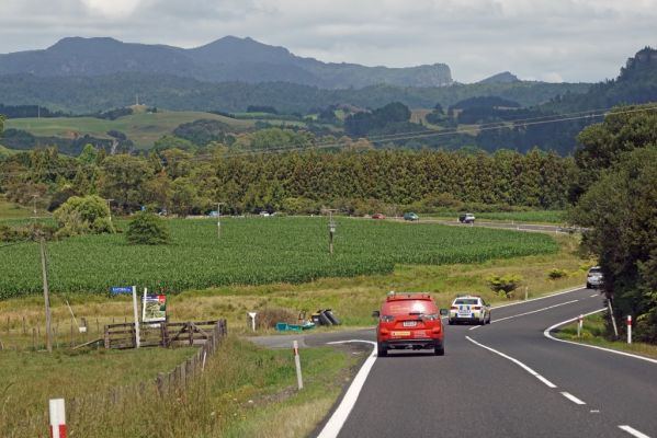 DSC01579 Hwy 25 Tairua Whitianga Rd bei Coroglen_k
