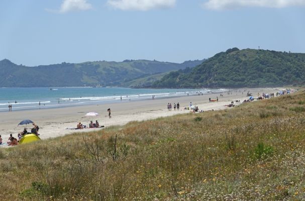 DSC01590 Matarangi Beach_k
