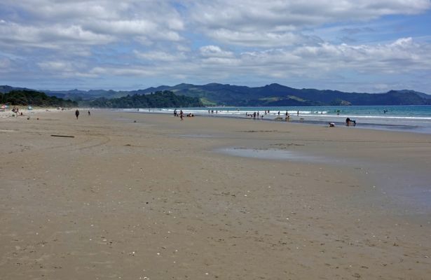 DSC01597 Matarangi Beach_k
