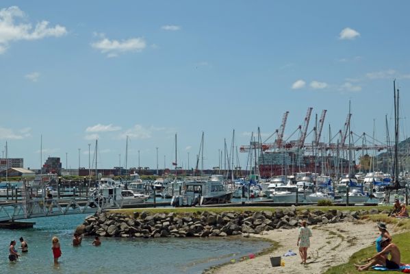 DSC01721 Tauranga Hafen und Badebucht_k
