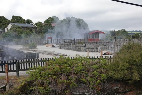DSC01746 Rotorua Whakarewarewa_k
