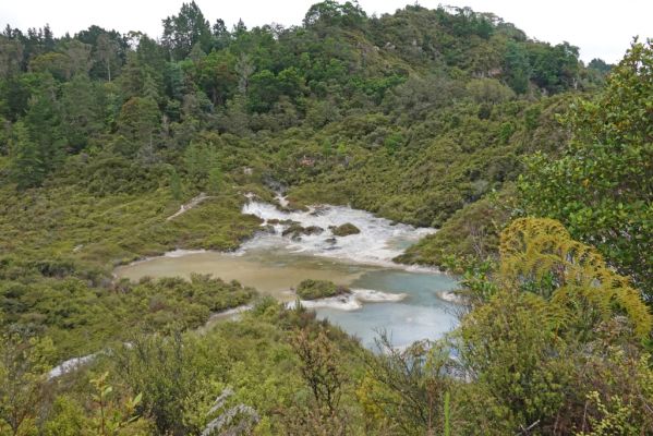 DSC01773 Rotorua Whakarewarewa Blick auf See in Te Puia_k
