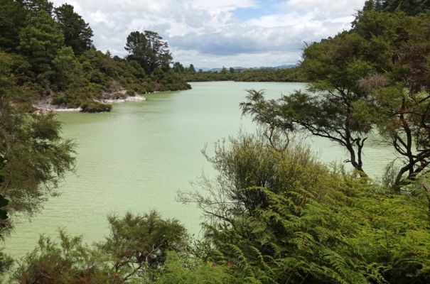 DSC01860 Waiotapu Lake Ngakoro_k
