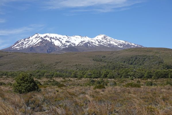 DSC01980 Taranaki Falls Trail Mt Ruapehu_k
