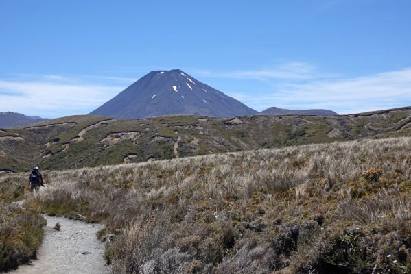 DSC02004 Taranaki Falls Trail Mt Ngauruhoe_k
