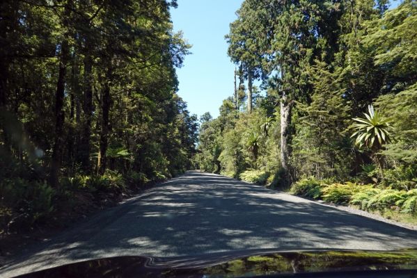 DSC02033 Ohakune Mountain Road_k
