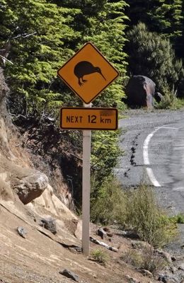 DSC02057a Ohakune Mountain Road Kiwi Warnschild_k
