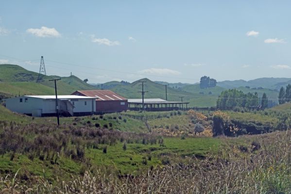 DSC02066 Farm 139 Te Moehau Road_k
