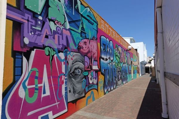 DSC02111 Napier Murals Theater Lane_k
