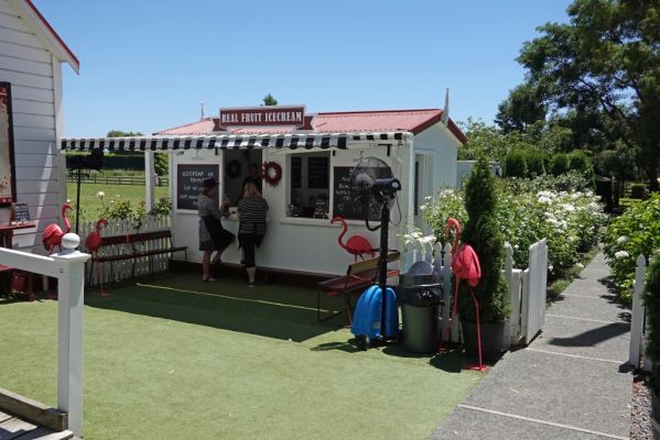 DSC02276 Havelock North Birdwoods Ice Cream Shop_k
