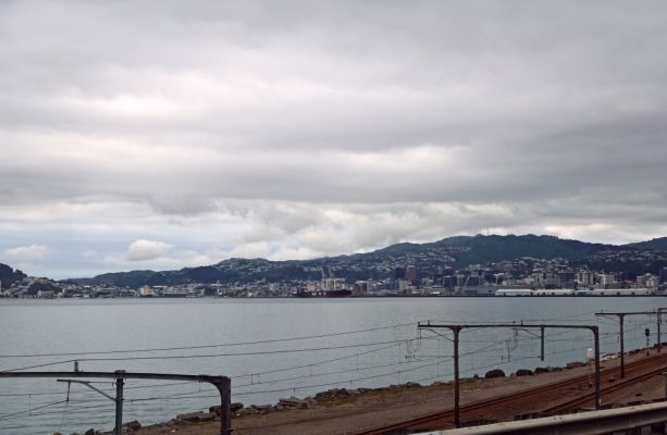 DSC02375 Wellington_k
