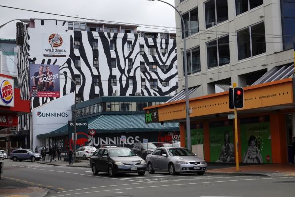 DSC02399 Wellington Tory Street Wild Zebra_k
