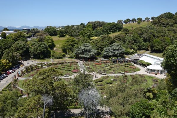 DSC02561 Wellington Botanischer Garten Rosengarten_k

