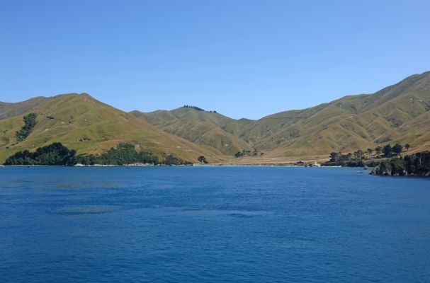 DSC02656 Queen Charlotte Sound_k
