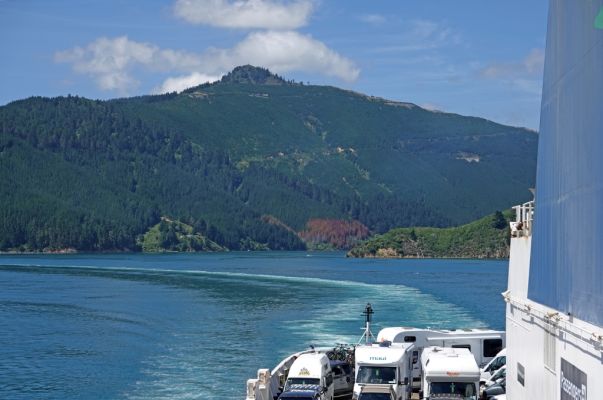 DSC02673 Queen Charlotte Sound_k

